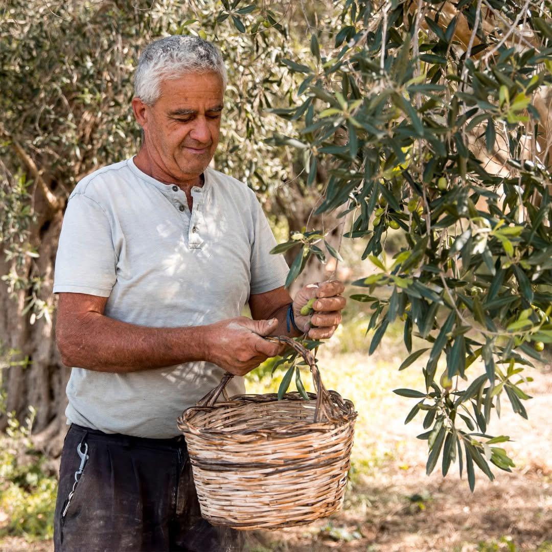 Diar il-Bniet Deli - Family Farmer
