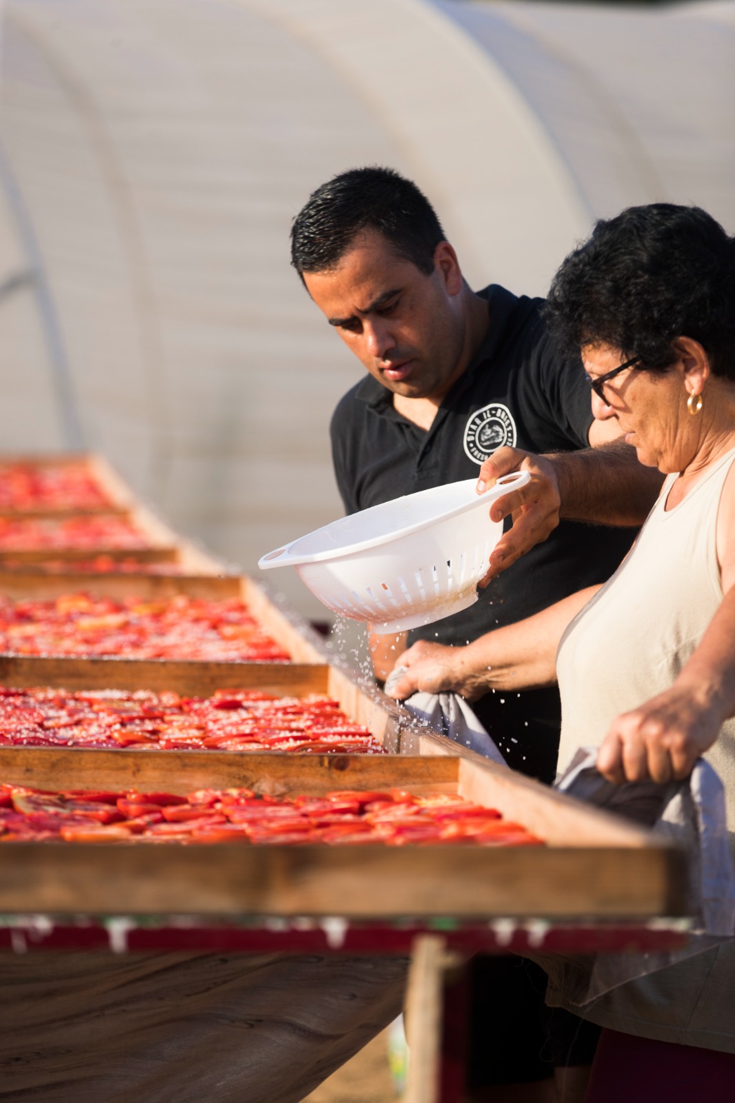 Diar il-Bniet Deli - Sun Dried Tomatoes Process