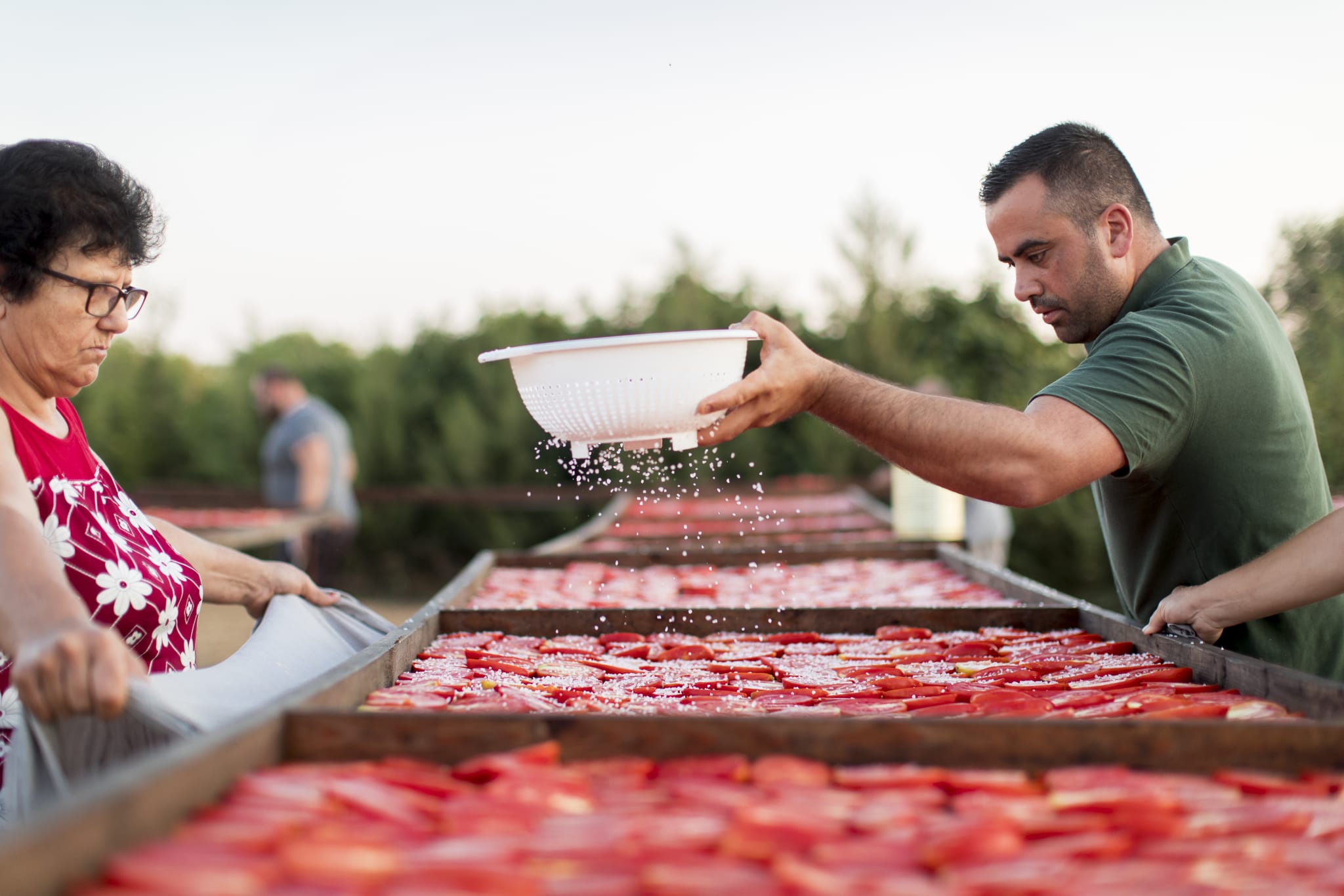 Diar il-Bniet Deli - Sun Dried Tomatoes Process